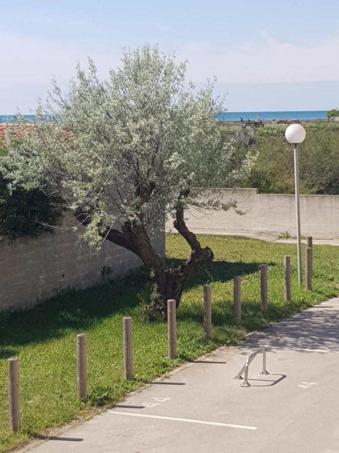 La Rose Des Sables, T2 A La Mer, Terrasse Et Garage Frontignan Exterior foto