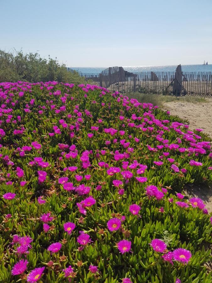 La Rose Des Sables, T2 A La Mer, Terrasse Et Garage Frontignan Exterior foto