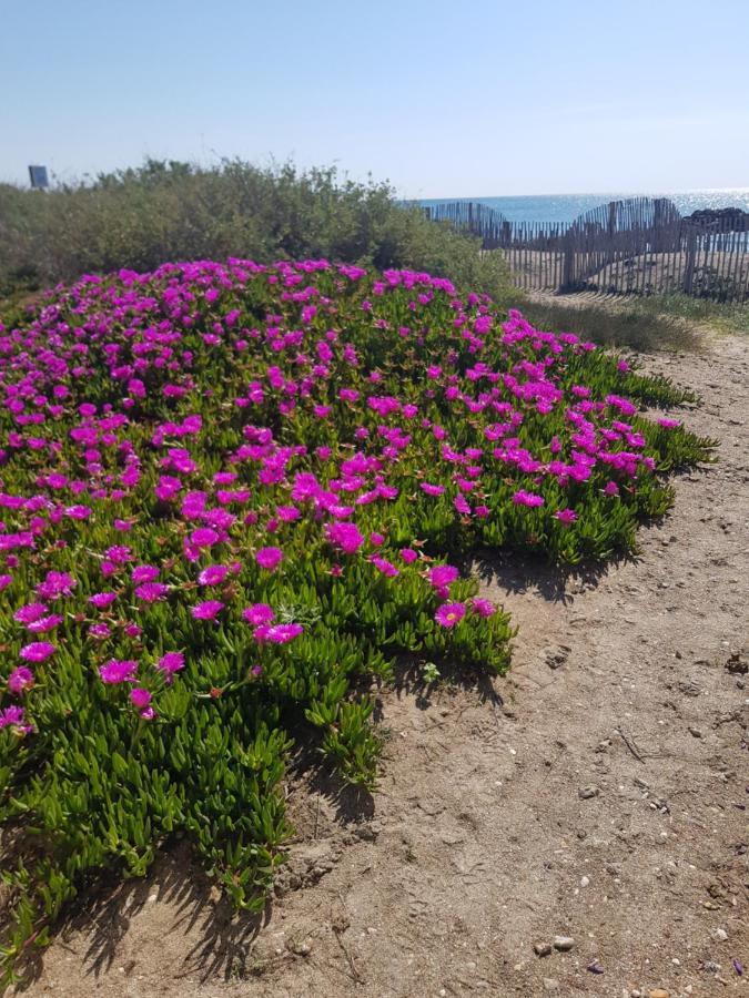 La Rose Des Sables, T2 A La Mer, Terrasse Et Garage Frontignan Exterior foto