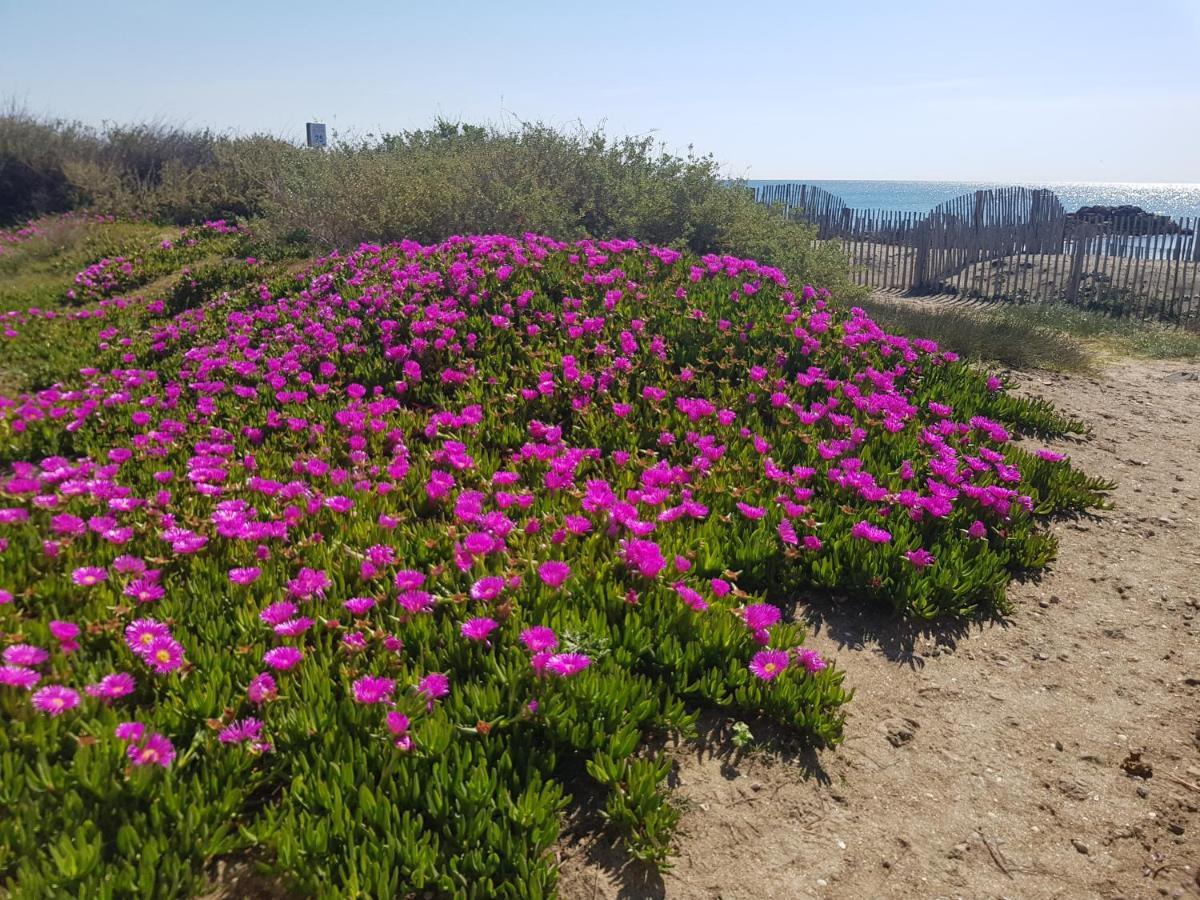 La Rose Des Sables, T2 A La Mer, Terrasse Et Garage Frontignan Exterior foto